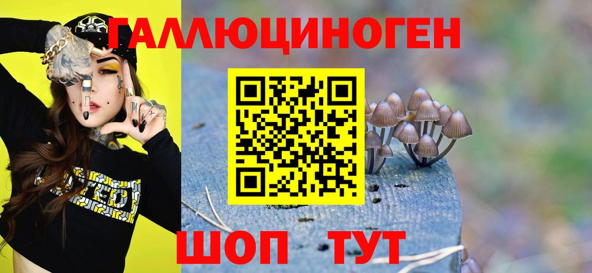 Галлюциногенные грибы Psilocybine cubensis  Галлюциногенные грибы мухоморы  Вход с VPN  закладка  Лянтор 