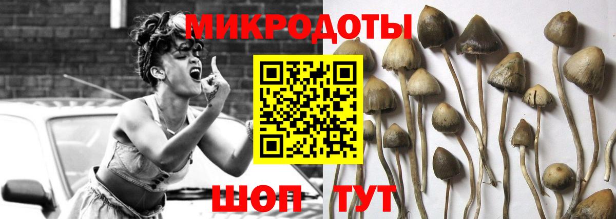 Галлюциногенные грибы GOLDEN TEACHER Лянтор